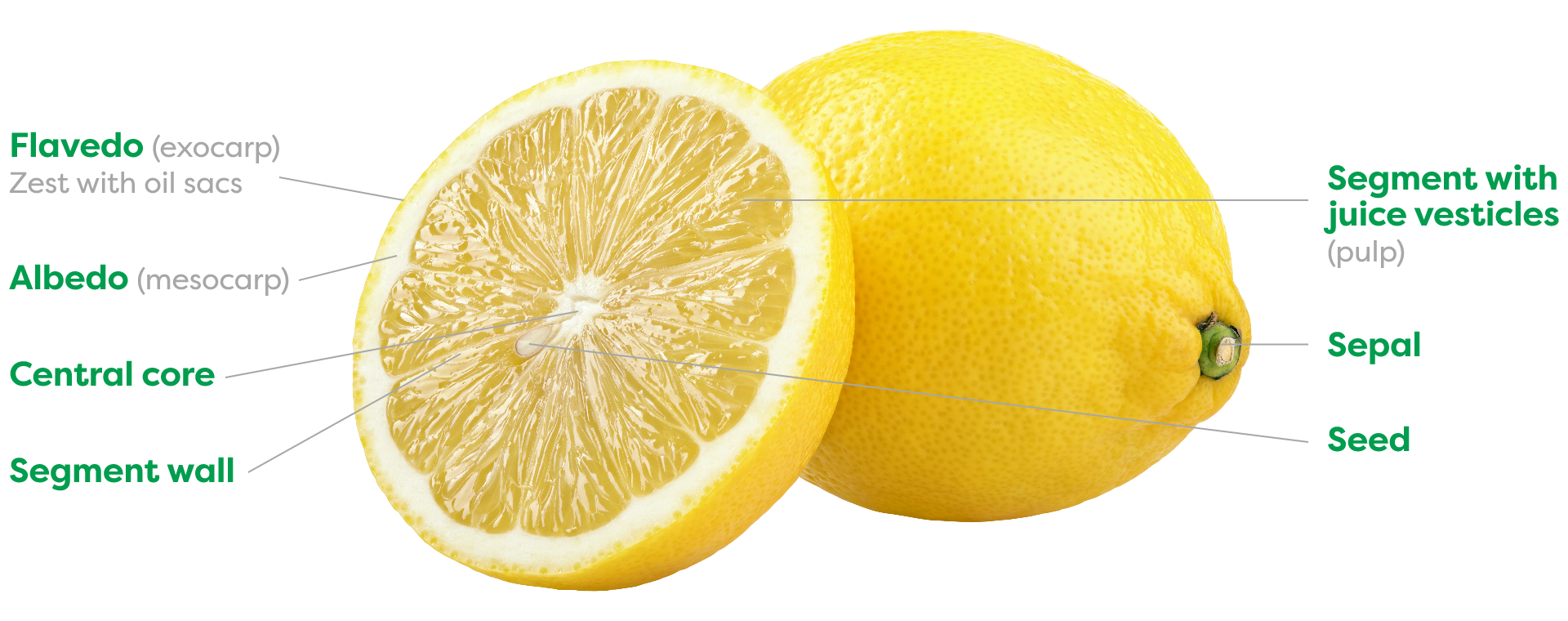 Lemon Chill flavedo
