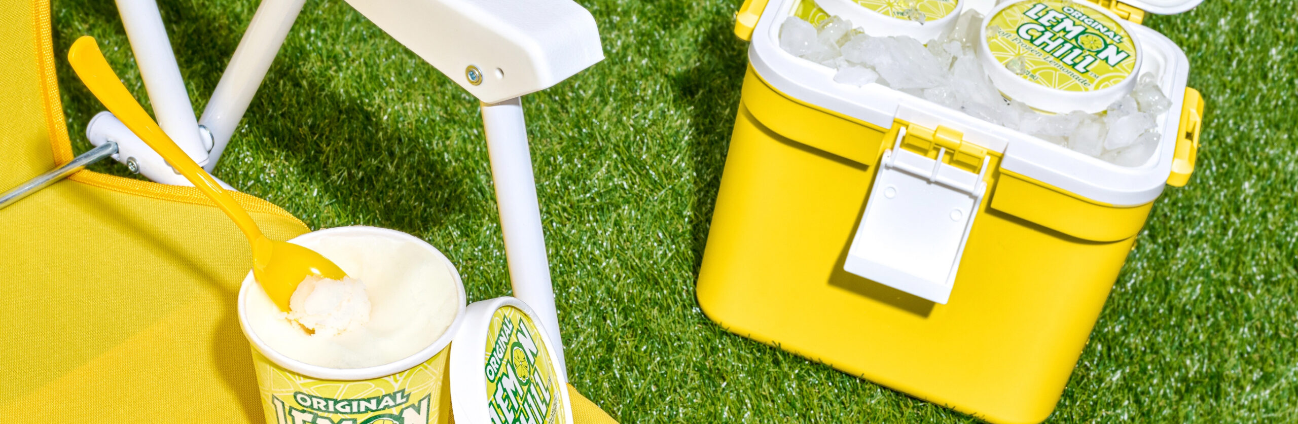 lemonchill press and media